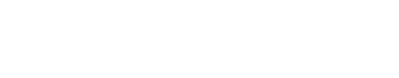 Ari Gunzburg Signature Logo